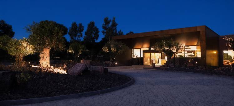 文奇瓦尔德卡纳斯高尔夫酒店(Vincci Valdecañas Golf)图片