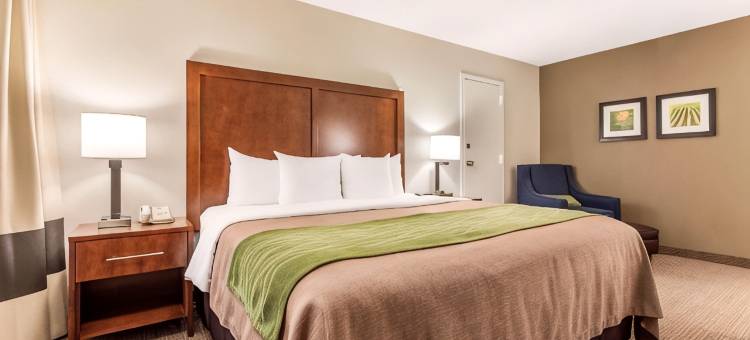 舒适套房酒店-奥马哈中心(Comfort Inn & Suites Omaha Central)图片