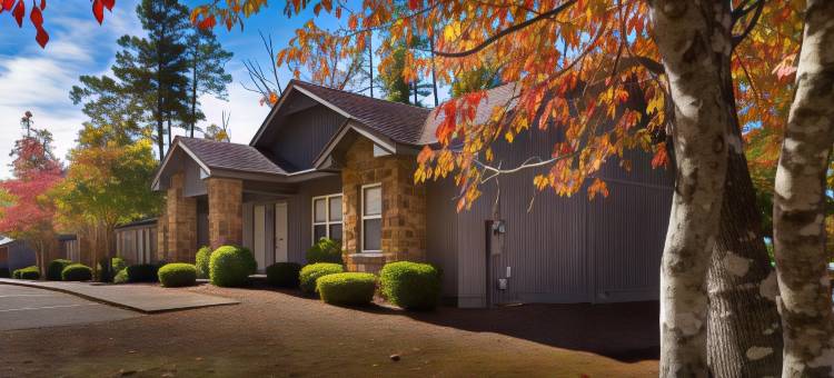 温泉城村洛斯拉各斯温德姆华美达酒店(Los Lagos at Hot Springs Village a Ramada by Wyndham)图片