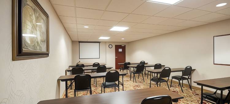 剑桥套房舒适酒店(Comfort Inn & Suites Cambridge)图片