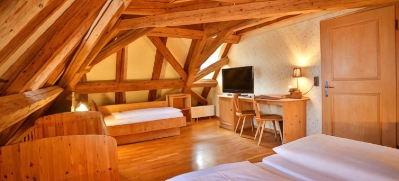 福施布劳雷之家酒店(Hotel-Brauereigasthof Josef Fuchs)图片