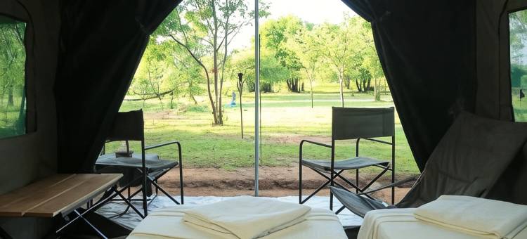 威尔帕图大型游戏酒店-生态团队(Big Game - Wilpattu by Eco Team)图片