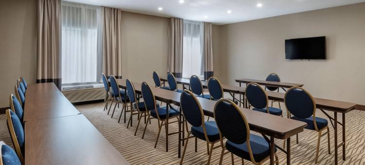 奥本I-69附近舒适套房酒店(Comfort Suites Auburn Near I-69)图片