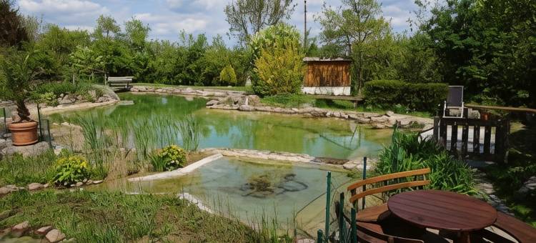 兰德吉特瓦尔德贝格酒店(Landhotel Gut Wildberg)图片