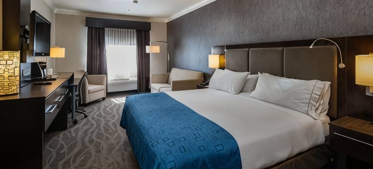 智选假日套房酒店圣克拉拉(Holiday Inn Express & Suites Santa Clara)图片