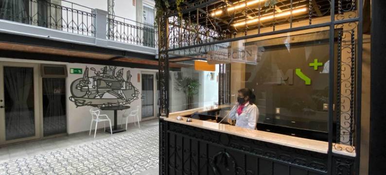 康德萨MX酒店(Hotel MX condesa)图片