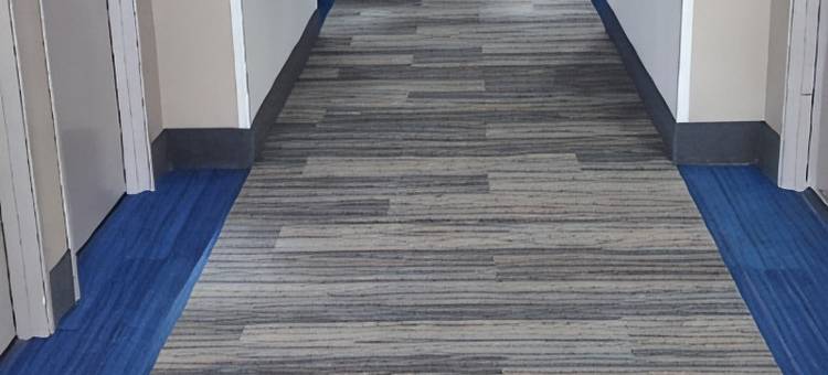 智选假日套房酒店金斯顿(Holiday Inn Express & Suites Kinston)图片