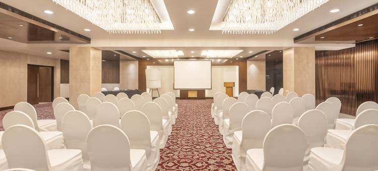 比瓦迪丽怡酒店(Country Inn & Suites by Radisson, Bhiwadi)图片