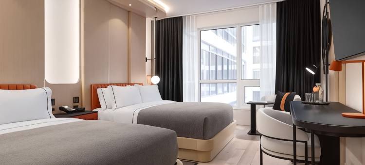 多伦多约克维尔希尔顿嘉悦里酒店(Canopy by Hilton Toronto - Yorkville)图片