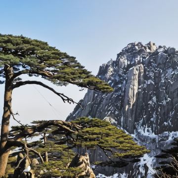黄山+宏村景区3日2晚跟团游