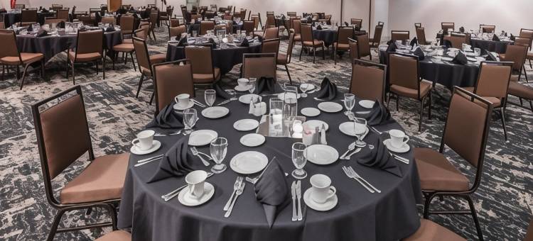 Holiday Inn 丹佛东 - 斯特普尔顿(Holiday Inn Denver East)图片