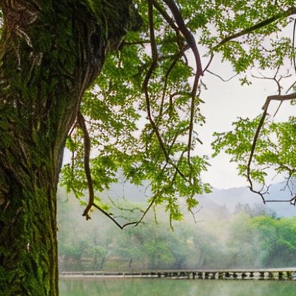 丽水+缙云仙都景区+云和梯田景区+古堰画乡旅游度假区3日2晚拼小团
