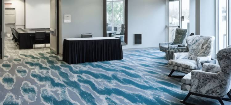 底特律诺维希尔顿花园客栈(HIlton Garden Inn Detroit/Novi)图片