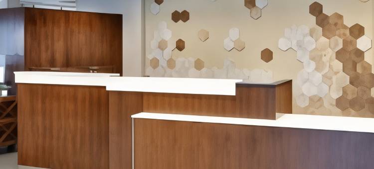 Fairfield Inn & Suites Springfield North图片