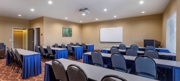 DFW机场贝斯特韦斯特优质套房酒店(Best Western Plus DFW Airport Suites)图片