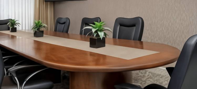 达拉斯邓肯维尔希尔顿花园酒店(Hilton Garden Inn Dallas/Duncanville)图片