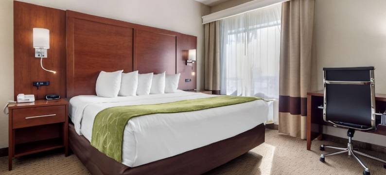 奥马哈东-康瑟尔崖舒适套房酒店(Comfort Suites Omaha East-Council Bluffs)图片