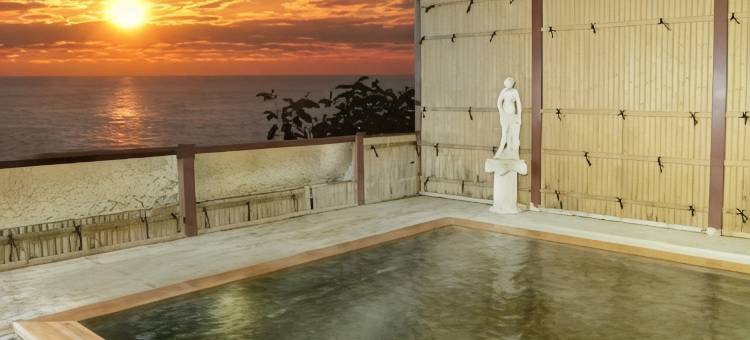 斯鲁卡泰托拉度假酒店(Hotel Tetora Resort Tsuruoka)图片