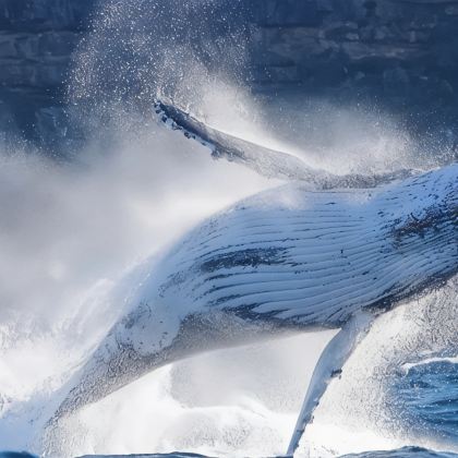 澳大利亚+黄金海岸10日9晚私家团
