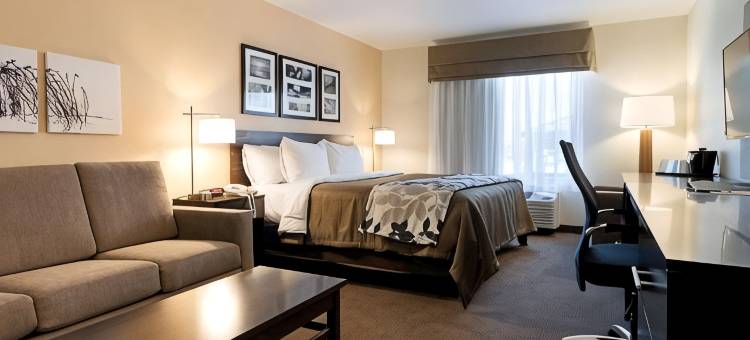 卡尔斯巴德洞穴区舒眠套房酒店(Sleep Inn & Suites Carlsbad Caverns Area)图片