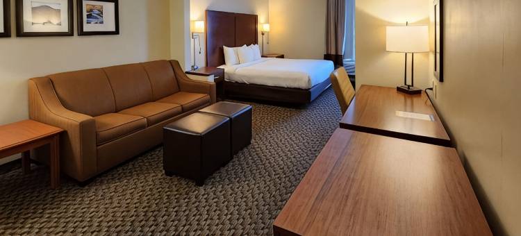 舒适套房酒店(Comfort Inn & Suites Mount Pocono)图片