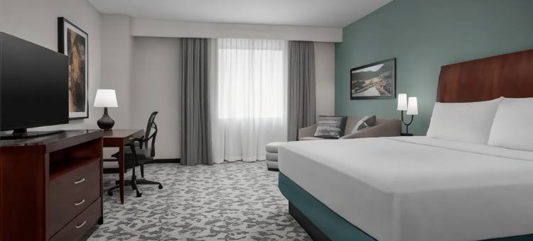 丹佛市区希尔顿花园酒店(Hilton Garden Inn Denver Downtown)图片