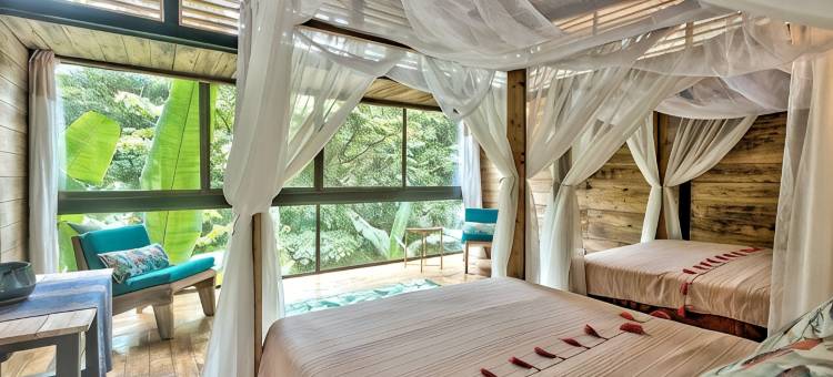 森林中的La Shamana生态概念酒店(La Shamana - Ecological Concept in Jungle)图片