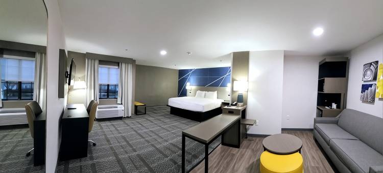 舒适酒店及套房(Comfort Inn & Suites)图片