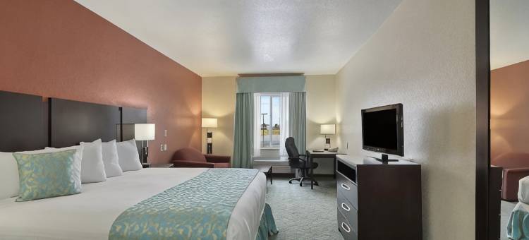 南韦科华美达酒店(Ramada by Wyndham South Waco)图片