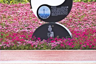北湖生态公园