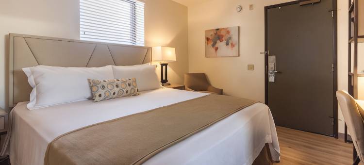 川田酒店(Kawada Hotel)图片