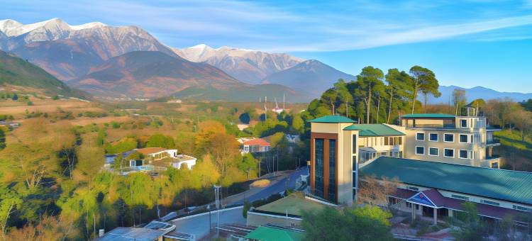 帕拉姆普尔胡斯塔度假及会议中心酒店(Justa Palampur Resort & Convention Centre)图片