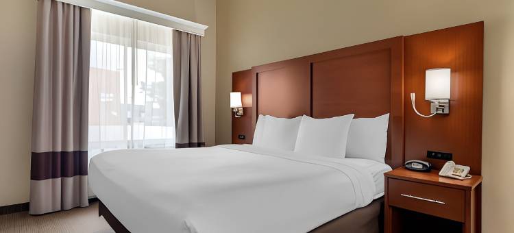 舒适套房酒店-西达拉斯科克雷尔山(Comfort Suites West Dallas - Cockrell Hill)图片