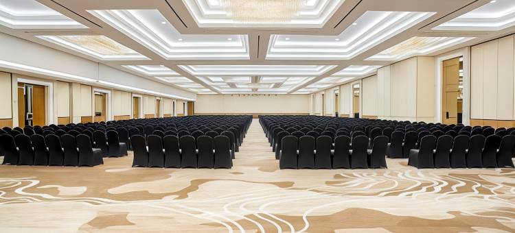 巨港温德姆奥皮酒店(Wyndham Opi Hotel Palembang)图片