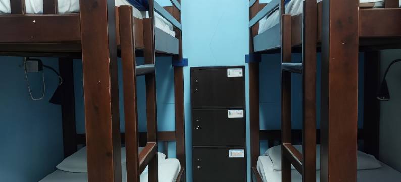 迪泽巴克派克尔斯(DZ Backpackers)图片