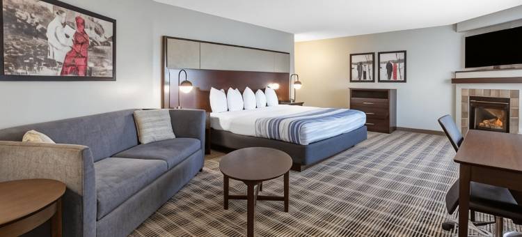 麦迪逊南美吟温德姆酒店(AmericInn by Wyndham Madison South)图片