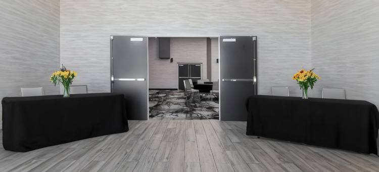 喜来登福朋阿马里洛中心酒店(Four Points by Sheraton Amarillo Central)图片