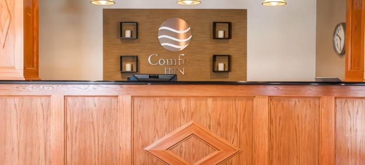 舒适酒店(Comfort Inn)图片