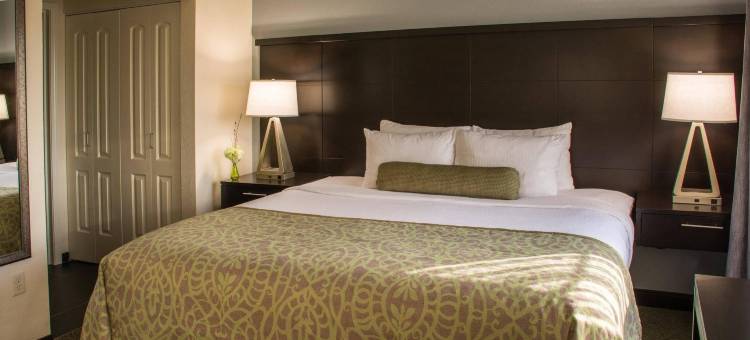 谢洛维尔洲际Staybridge套房酒店(Staybridge Suites SCHERERVILLE by IHG)图片