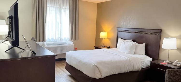 门罗酒店及高级宴会(Econo Lodge Inn & Suites Monroe)图片