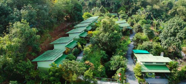 毛斯度假村(The Mouth Resort)图片