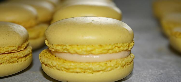 途乐别墅旅馆(Logis Hotel le Relais du Teulet)图片