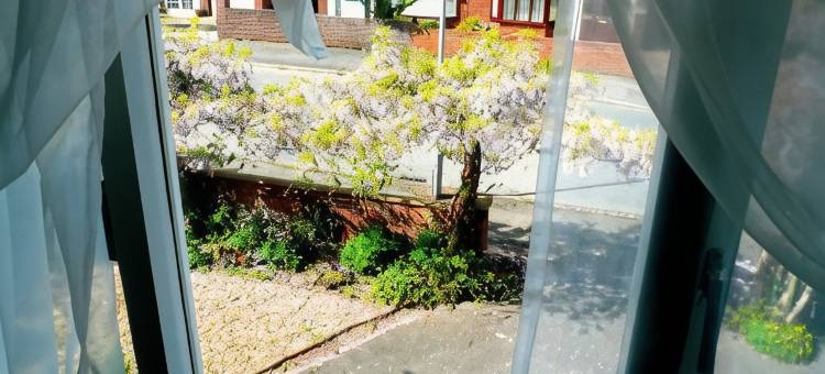 马尔文之家酒店(Malvern House)图片