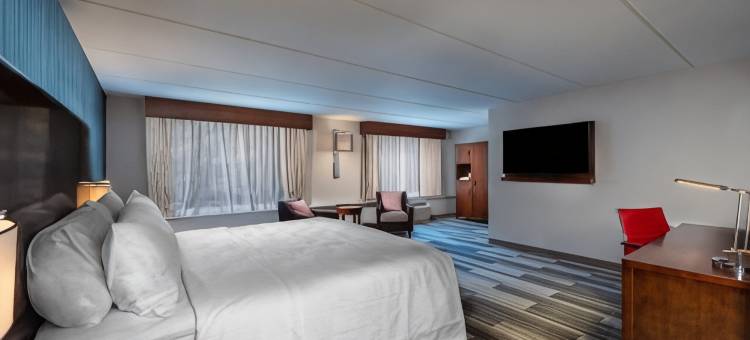 亚特兰大机场西福朋喜来登酒店(Four Points by Sheraton Atlanta Airport West)图片