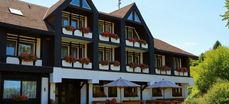 拉曼土地酒店(Landhotel Laarmann)图片