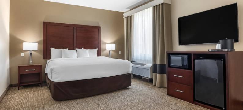 韦科北舒适套房酒店-近大学区(Comfort Suites Waco North - Near University Area)图片