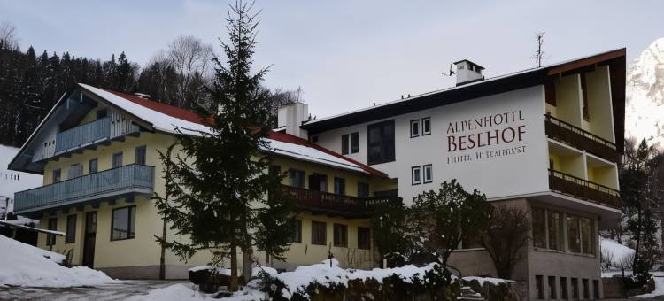 贝斯霍夫阿尔卑斯山酒店(Alpenhotel Beslhof)图片