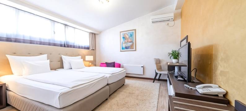 亚历山大卢克斯酒店(Hotel Alexandar Lux)图片