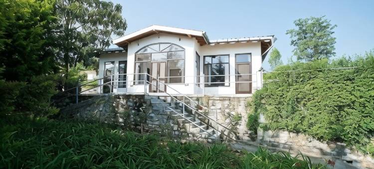 生活之树Junoon山中(Tree of Life Junoon in the Hills)图片