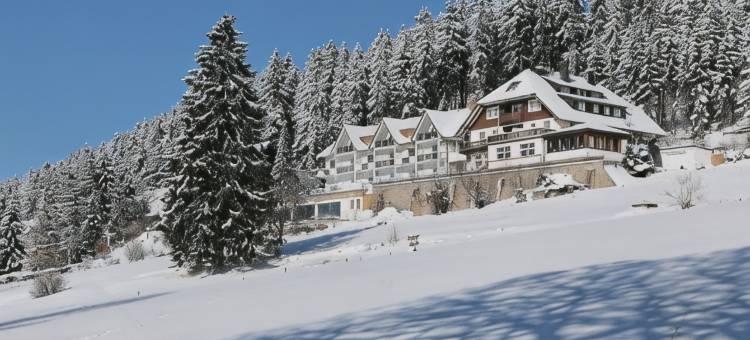 黑森林胡法酒店(Jufa Hotel Schwarzwald)图片